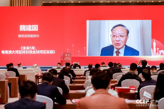 商务部原副部长魏建国：当今全球四大湾区最看好粵港澳大湾区