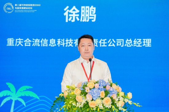 重庆合流信息科技有限责任公司总经理徐鹏