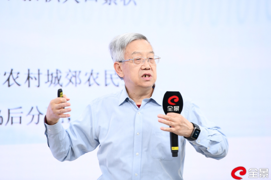 周天勇：唯有改革收入分配渠道才能扩大居民消费需求