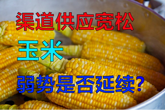 渠道供应宽松,玉米弱势是否延续?