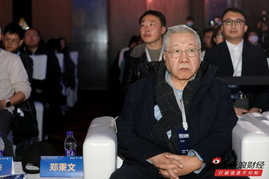 郑秉文：中国式社保制度取得了巨大成就