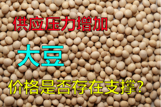 供应压力增加,大豆价格是否存在支撑?