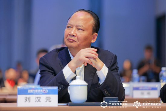 通威集团刘汉元:发展光伏系统是“小能源”换“大能源”的过程_新浪财经_新浪网