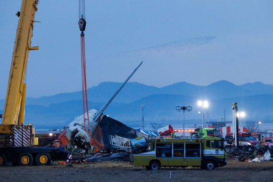 12月30日清早,韩国务安郡,一群鸟飞过济州航空2216号航班颓残上空
