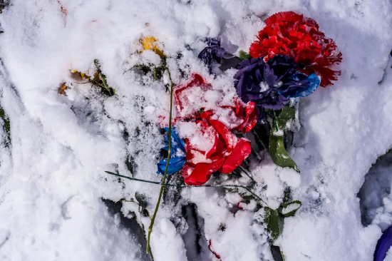 特朗普的虚妄幻想正在戕害我们