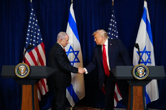 dy自助下单平台网站，低价10个优惠秘诀揭秘？