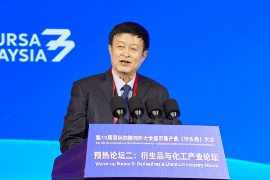 中国石油和化学工业联合会副会长李彬：衍生品赋能能源化工产业稳链强链