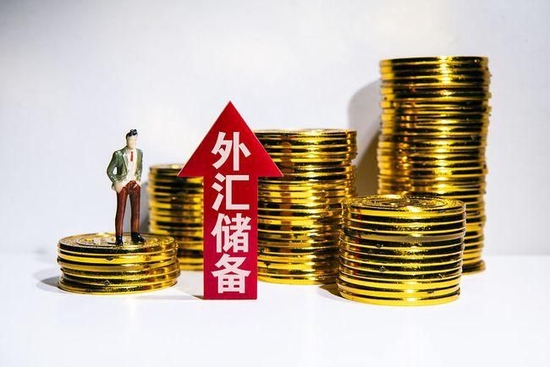 中国外汇储备资产_中国不敢公布外汇储备_储备外汇敢公布中国公司吗