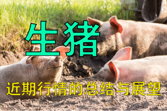 【中粮视点】生猪:近期行情的总结与展望