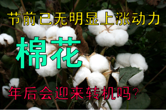 棉花节前已无明显上涨动力,年后会迎来转机吗?