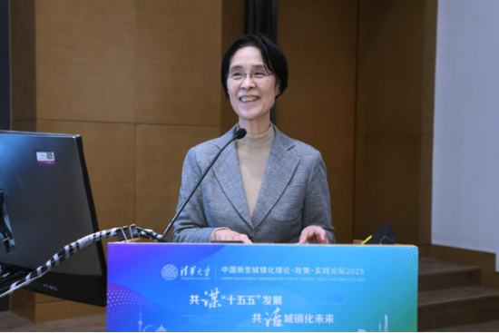 江小涓 中国社会科学院大学教授 国家数据专家咨询委员会主任 国务院原副秘书长