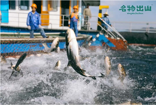 “名物出山”首次公开亮相 永辉超市品牌生态再添新成员