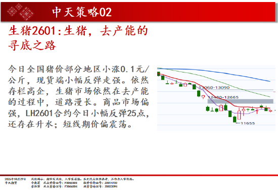中天期货:商品指数新高 原油小幅回弹