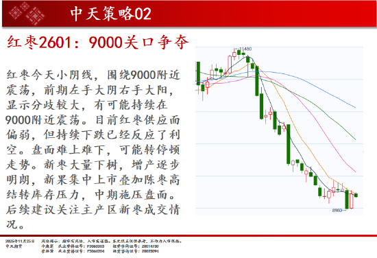 中天期货:螺纹继续反弹 棕榈继续走弱