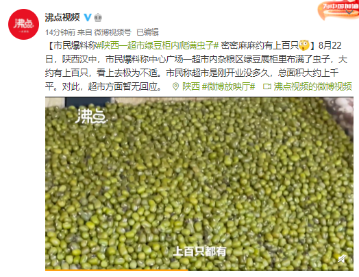 陕西一超市绿豆柜内爬满虫子密密麻麻约有上百只