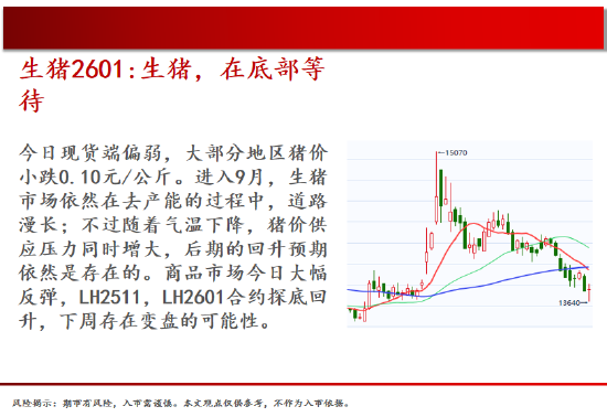 中天期货:玉米延续反弹 豆粕区间震荡