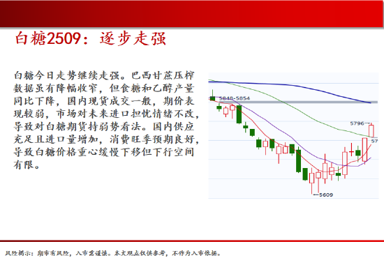 中天期货:原油继续走低 螺纹窄幅震荡 第16张 中天期货:原油继续走低 螺纹窄幅震荡 第16张