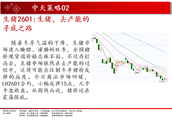 中天期货:螺纹继续反弹 棕榈继续走弱