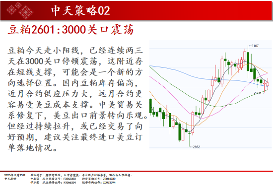 中天期货:螺纹继续反弹 棕榈继续走弱