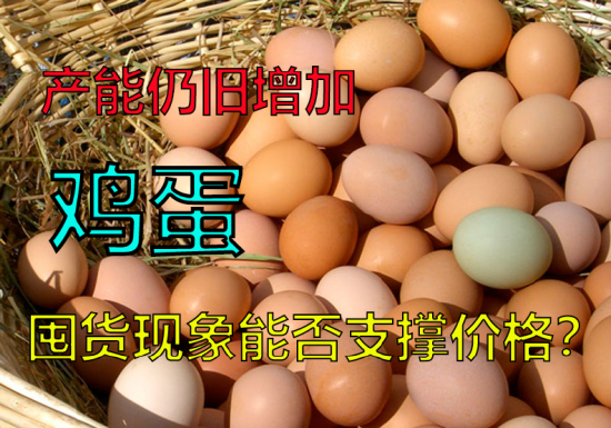 产能仍旧增加,鸡蛋囤货现象能否支撑价格?