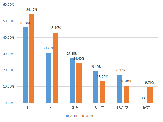 看得懂的保险：宠物医疗险暗坑多，如何避坑？