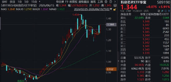 抖音业务自助下单网站丰易，如何轻松提升效率？