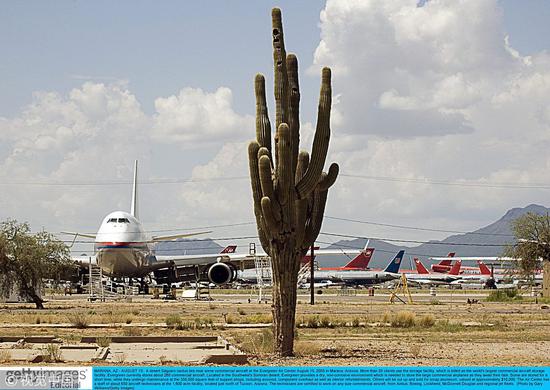 美国亚利桑那州的一处飞机坟场。这里气候温暖干燥，机体腐蚀很慢，很适宜储存大型的商业飞机。
