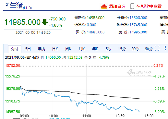 快讯 生猪主力合约跌破元 吨跌近5 再创上市新低 新浪财经 新浪网 快讯 生猪主力合约跌破元 吨跌近5 再创上市新低 新浪财经 新浪网