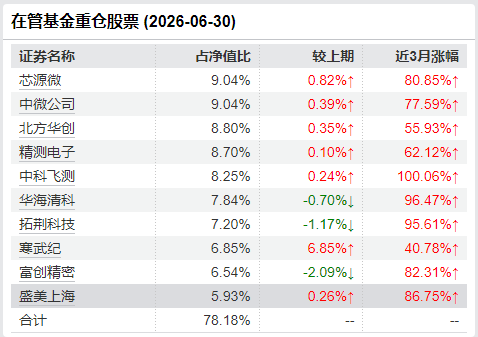 严凯二季报十大重仓股