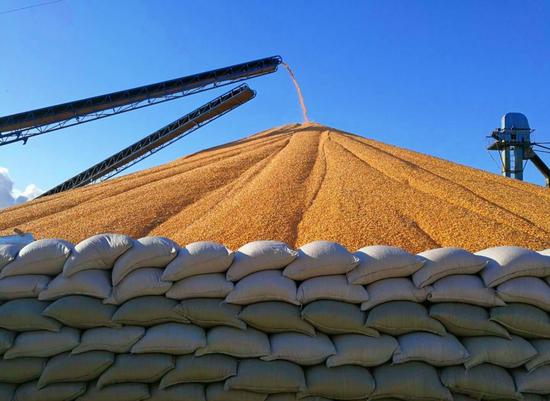 2026-2030年中国网络短剧行业出海投资机会与风险研究