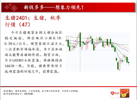 中天期货:螺纹2401螺纹震荡 棉花2401重回弱势