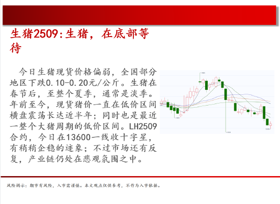 中天期货:商品指数停顿震荡 棕榈震荡 第4张 中天期货:商品指数停顿震荡 棕榈震荡 第4张