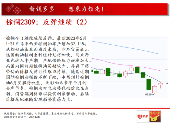 中天期货:花生寻找支撑 棕榈反弹继续