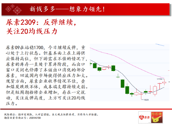 中天期货:花生寻找支撑 棕榈反弹继续