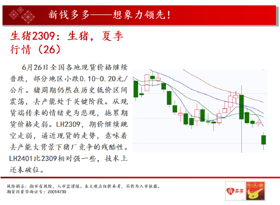 中天期货:沪铜冲高回落外盘受阻 股指期货牛市进入2阶段