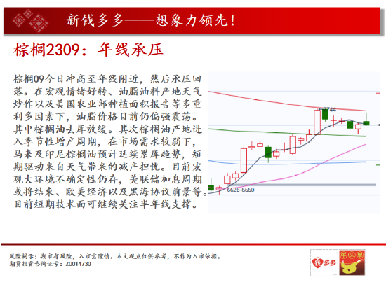 中天期货:棕榈年线承压 棉花风来雨来多头向上冲