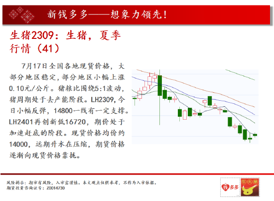 中天期货:生猪夏季行情 纯碱涨不动了吗