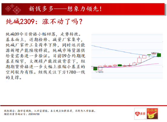 中天期货:生猪夏季行情 纯碱涨不动了吗