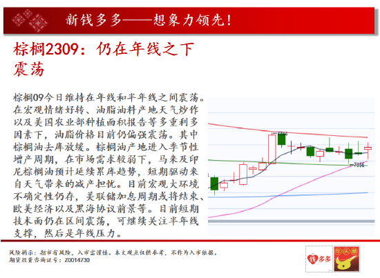 中天期货:生猪夏季行情 纯碱涨不动了吗