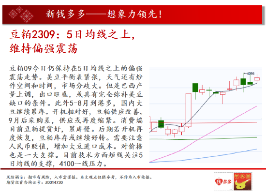 中天期货:生猪夏季行情 纯碱涨不动了吗