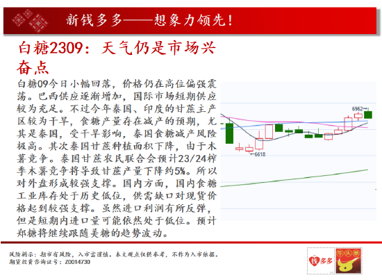 中天期货:生猪夏季行情 纯碱涨不动了吗