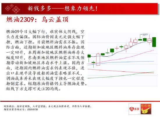 中天期货:生猪夏季行情 纯碱涨不动了吗