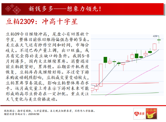中天期货:燃油倒锤子线 纯碱多头加速冲