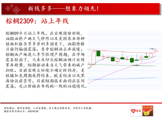 中天期货:燃油倒锤子线 纯碱多头加速冲