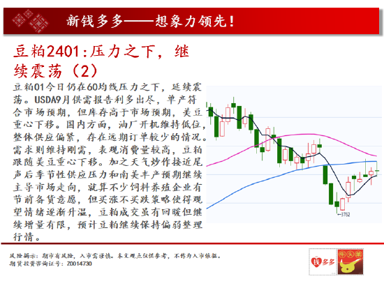 中天期货:螺纹2401弱势震荡 棕榈2401承压下行