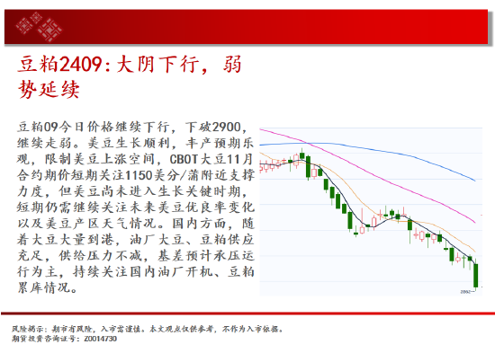 中天期货:纯碱空头趋势继续 棕榈60均线承压下行