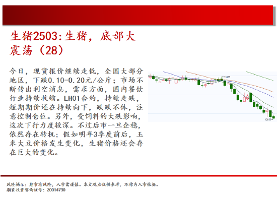 中天期货:玻璃震荡反复 棕榈再度探顶
