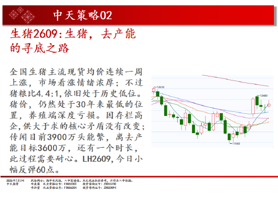 中天期货原油小阳修复 豆粕区间回落