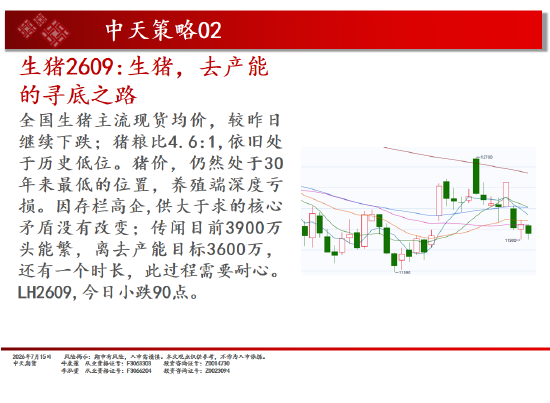 中天期货螺纹继续反弹 纯碱震荡下行
