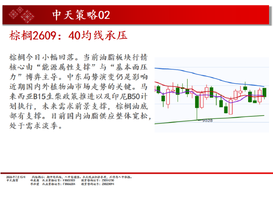 中天期货螺纹继续反弹 纯碱震荡下行